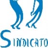 sindicato