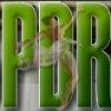 spdrj